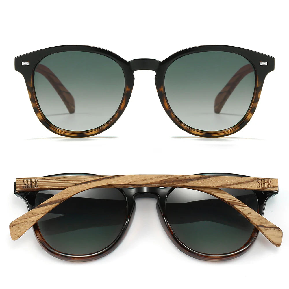 Taine Black Tort Sunglasses