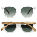 Taine Frost Sunglasses
